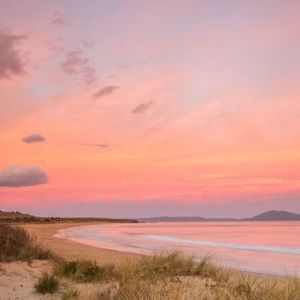 Meet your Posher, Reese